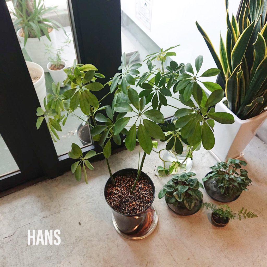 名古屋栄・伏見でおしゃれな雰囲気が人気な美容室 HANS ハンス