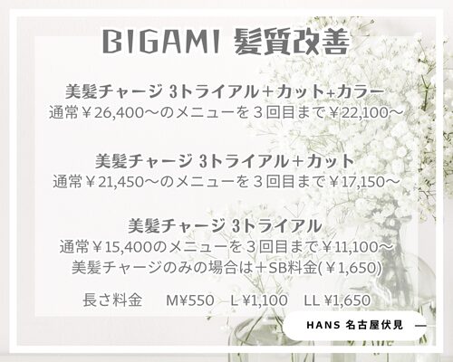美容室ハンス名古屋/髪質改善
