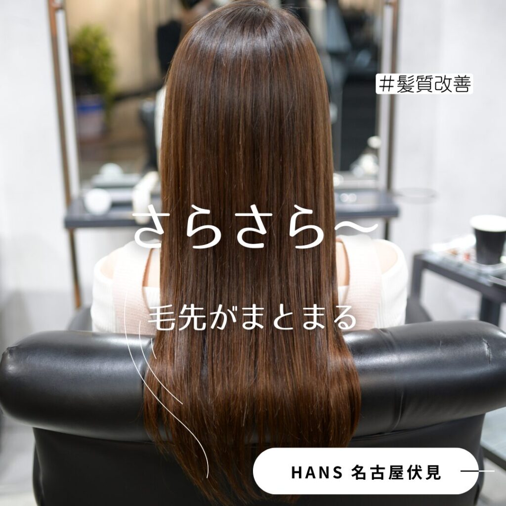 美容室ハンス名古屋/サイエンスアクアの髪質改善美髪チャージ