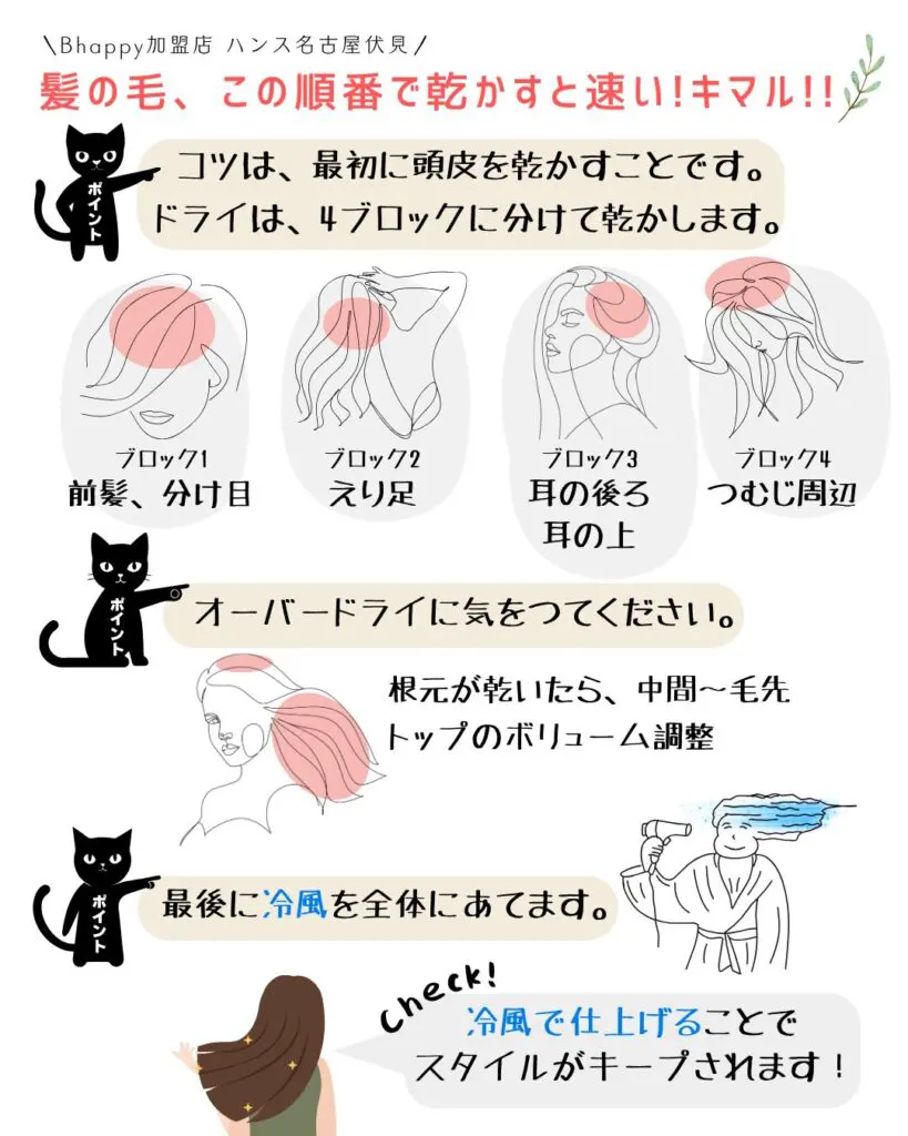 海外対応】 リファビューテックドライヤースマートW の使い方が気に