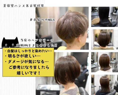 白髪のお悩み似合わせたヘアカラー施術例のまとめ