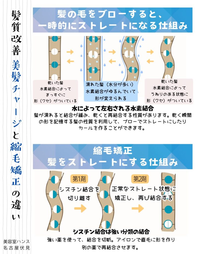 髪質改善美髪チャージと縮毛矯正の違い/美容室ハンス名古屋