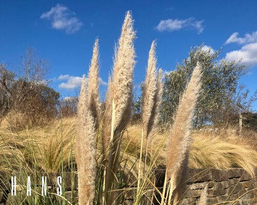 名古屋市東山動植物園の穴場スポット