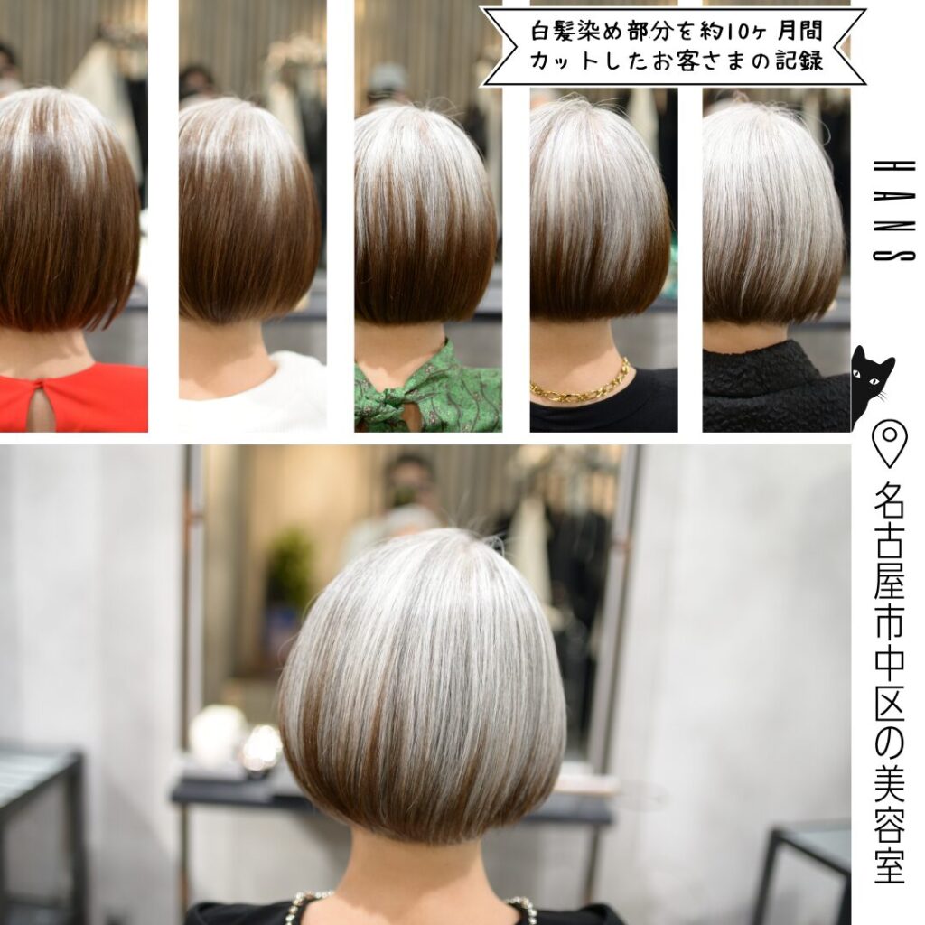 【脱カラー】ヘアカラーをやめたい方へ：ブリーチによる白髪ぼかしは推奨していません