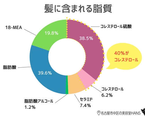 髪に含まれる脂質の解説/リケラミストとエマルジョンの成分説明/美容室ハンス名古屋