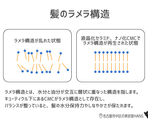 リケラミストとエマルジョンのCMCによる髪のラメラ構造の解説/正規取扱店美容室ハンス名古屋