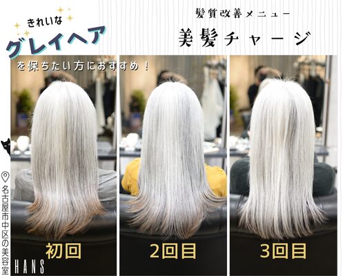 グレイヘアの髪質改善美髪チャージ3回の施術例/美容室ハンス名古屋