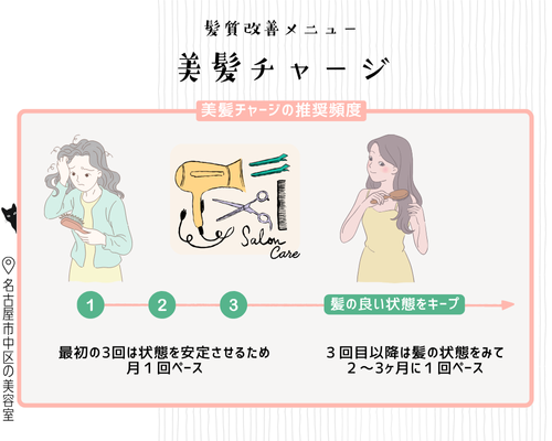 グレイヘアの髪質改善美髪チャージ3回の施術例/美容室ハンス名古屋
