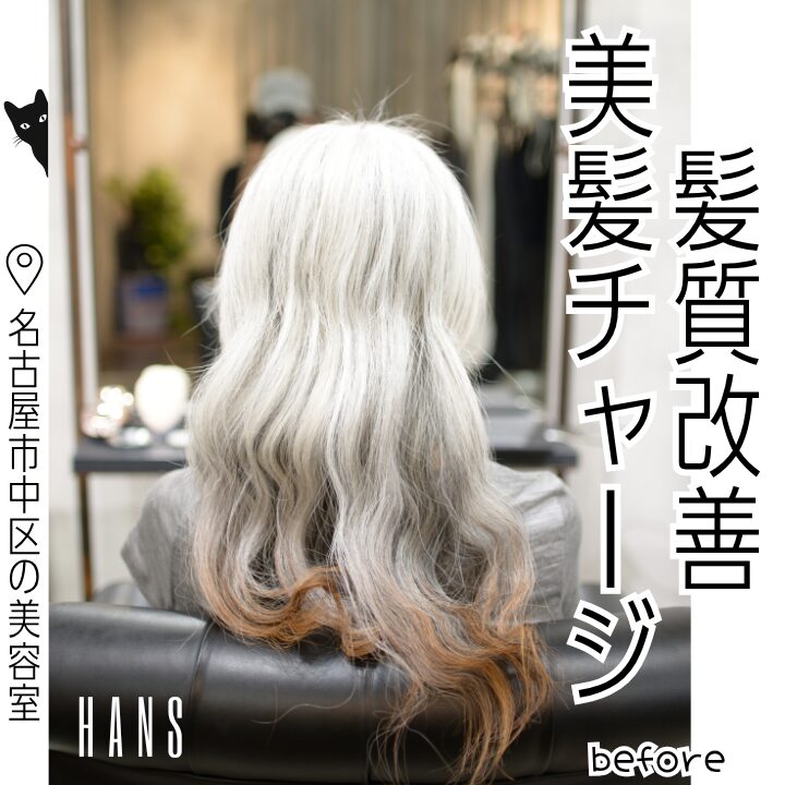グレイヘアの髪質改善美髪チャージ3回の施術例/美容室ハンス名古屋