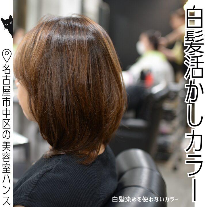 白髪染めを使った白髪ぼかしのご紹介/美容室ハンス名古屋