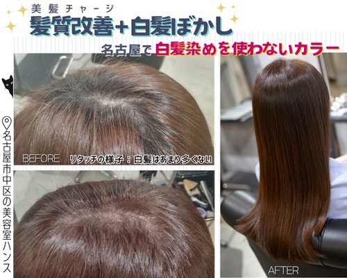 髪質改善と白髪ぼかしの施術例。名古屋で白髪染めを使わないカラー/美容室ハンス名古屋