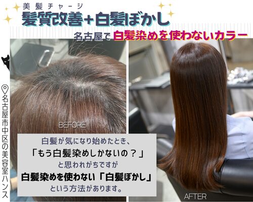髪質改善と白髪ぼかしの施術例。名古屋で白髪染めを使わないカラー/美容室ハンス名古屋