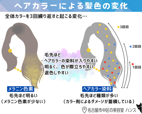ヘアカラーによる髪色（メラニン色素）の変化を解説/美容室ハンス名古屋