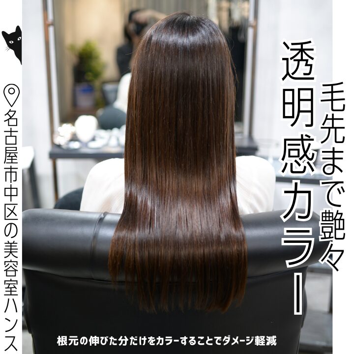 全体カラーの施術例/美容室ハンス名古屋