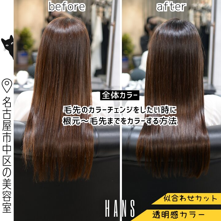 全体カラーの施術例/美容室ハンス名古屋