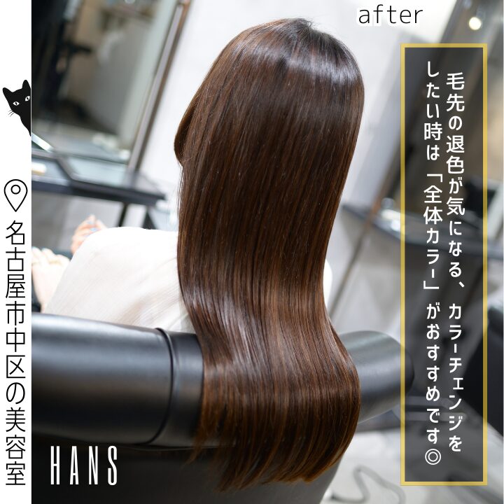 全体カラーの施術例/美容室ハンス名古屋