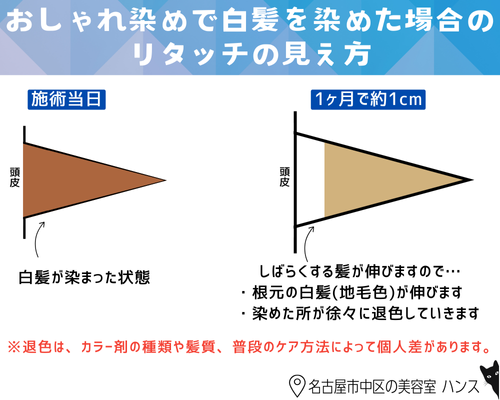 おしゃれ染めで白髪を染めた場合のリタッチの見え方/美容室ハンス名古屋