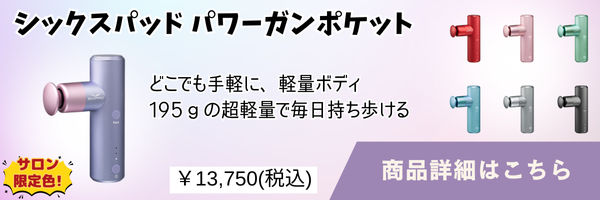 シックスパッドパワーガンポケットの解説