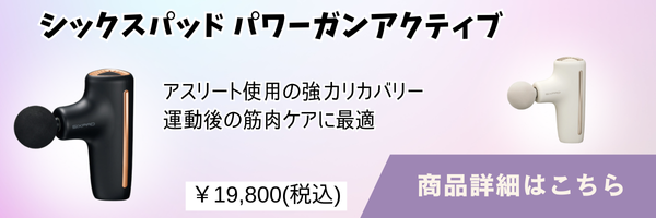 シックスパッドパワーガンアクティブの解説