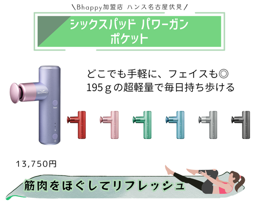 シックスパッドパワーガンポケットの解説