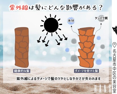 紫外線が髪に与える影響を解説/美容室ハンス名古屋