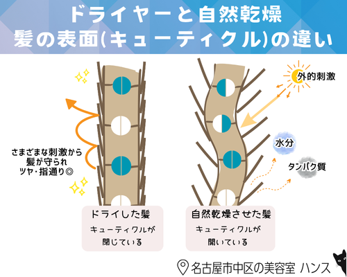 ドライヤーと自然乾燥の違い。キューティクルがどうなるのかを解説/美容室ハンス名古屋