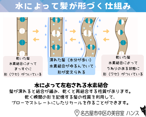 水によって髪が形づく仕組み/美容室ハンス名古屋
