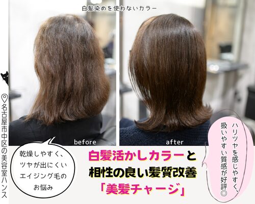 白髪活かしカラーと相性の良い髪質改善/美容室ハンス名古屋