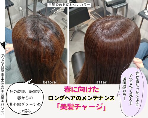 春に向けたロングヘアのメンテナンス/美容室ハンス名古屋