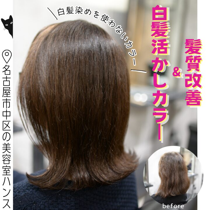 白髪活かしカラーと相性の良い髪質改善/美容室ハンス名古屋