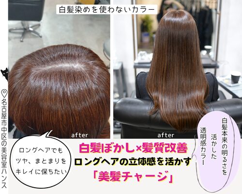 白髪染めを使わない白髪ぼかしリタッチカラーの施術例/美容室ハンス名古屋