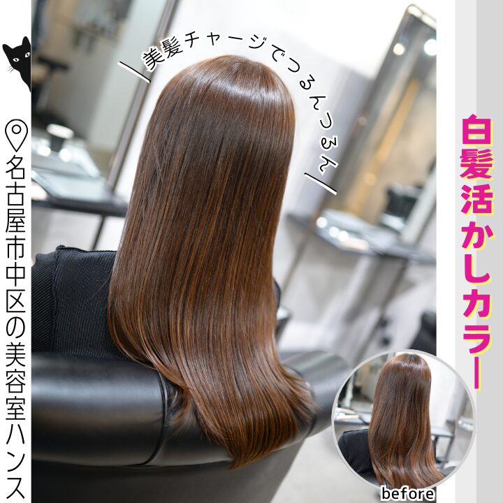 白髪染めを使わない白髪活かしリタッチカラーの施術例/美容室ハンス名古屋